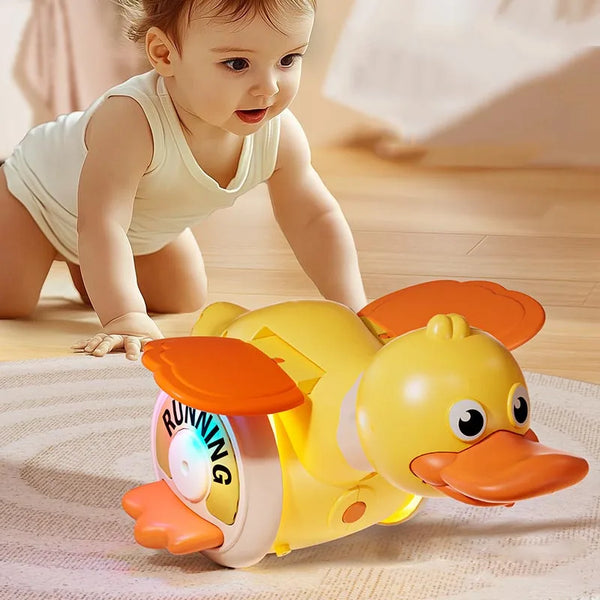 Sb0e13d5462724ede88cfab0477abc0393